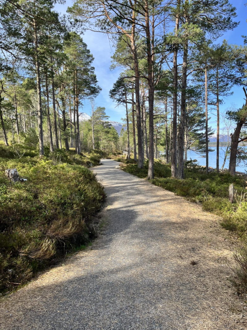 Dugnadsbasert innsats for fellesskapet